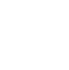 Stevie Starlight